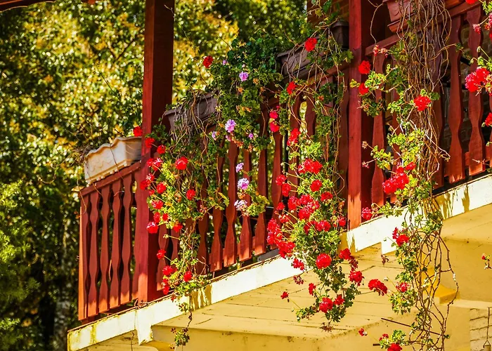 VELINN Pousada Recanto da NaturezaPousada Monte Verde